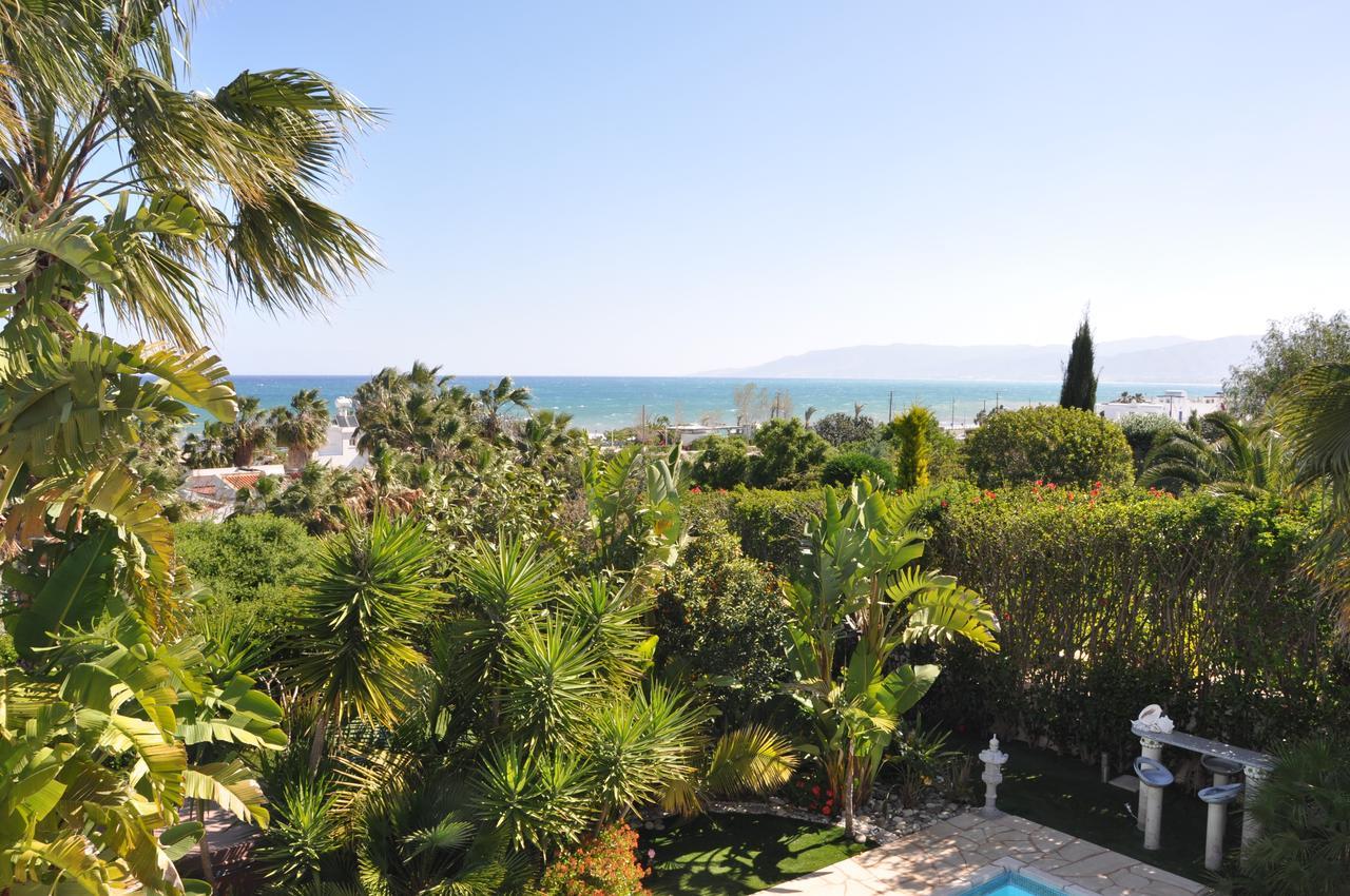 Lachi Marina Villa #17 Polis Dış mekan fotoğraf